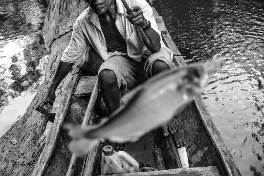 Black-and-white photo of a fish leaping past a man in a wooden canoe